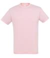 11380 Regent T-shirt medium pink colour image